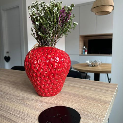 Proyecto Gris Bruma 5