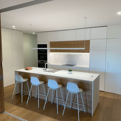 Proyecto Zorrilla 2